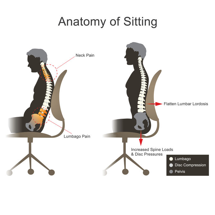 What Is Lumbar Support and Why Is It Important? Accredited