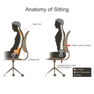 What Is Lumbar Support and Why Is It Important?